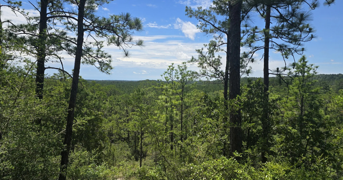 Backbone Trail Sounds Intimidating, But It's One of the Best Hikes in Louisiana
