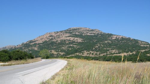 A winding road leads towards a grassy hill under a clear blue sky, surrounded by lush greenery.