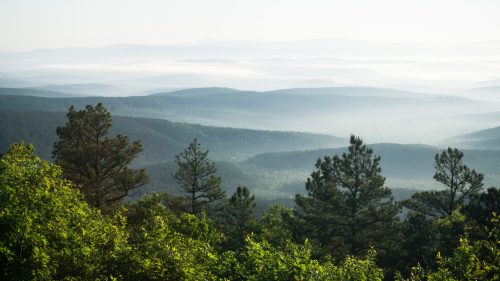 A misty landscape of rolling hills and dense forests under a soft morning light.