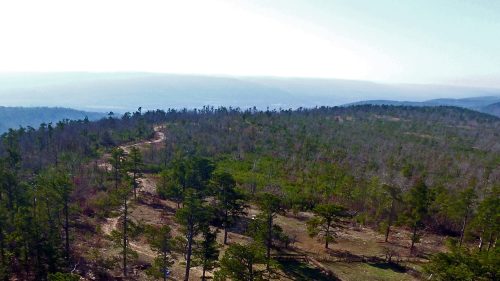 A panoramic view of rolling hills and a winding path through a forested landscape under a clear sky.