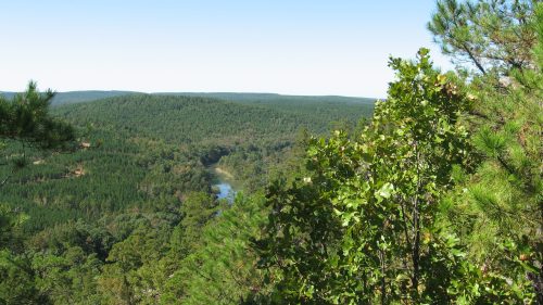 A scenic view of a lush green landscape with a winding river and distant hills under a clear blue sky.