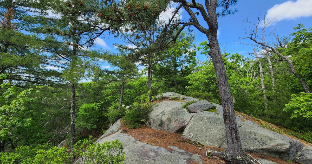 Rattlesnake Ledge Is One of Rhode Island’s Best Hikes (Despite Its Name)