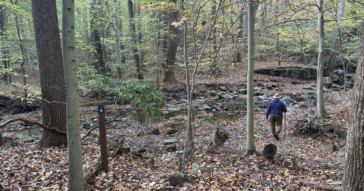 Rocky Run Loop Sounds Intense, But It's One of the Best Hikes in Delaware