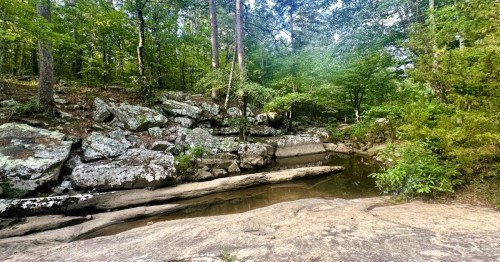 Inside a carved canyon along the Rough Canyon Trail in OK, featuring a rocky terrain, a stream, and greenery.