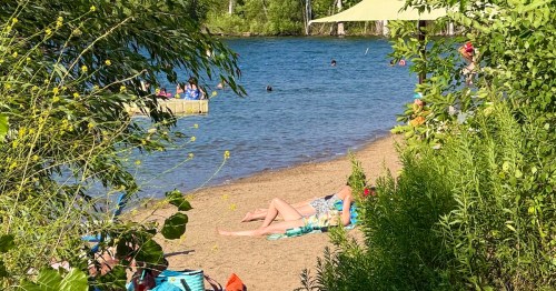People sunbathing on towels near the water framed by leafy green foliage at Shady Oak Beach, Minnesota.