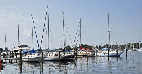Boats docked at a marina in Solomons Island, a small town near Annapolis, MD.