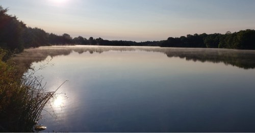 Morning sun reflecting on calm, misty water at Lake Alvin Recreation Area in South Dakota.