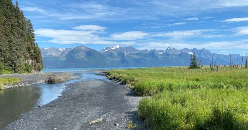 A sunny day at Tonsina Beach in Alaska, where a river flows through thick green grasses and mountains loom in the distance.