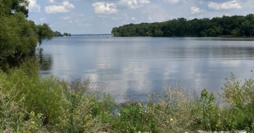 Trees and shoreline at Rend Lake in Illinois