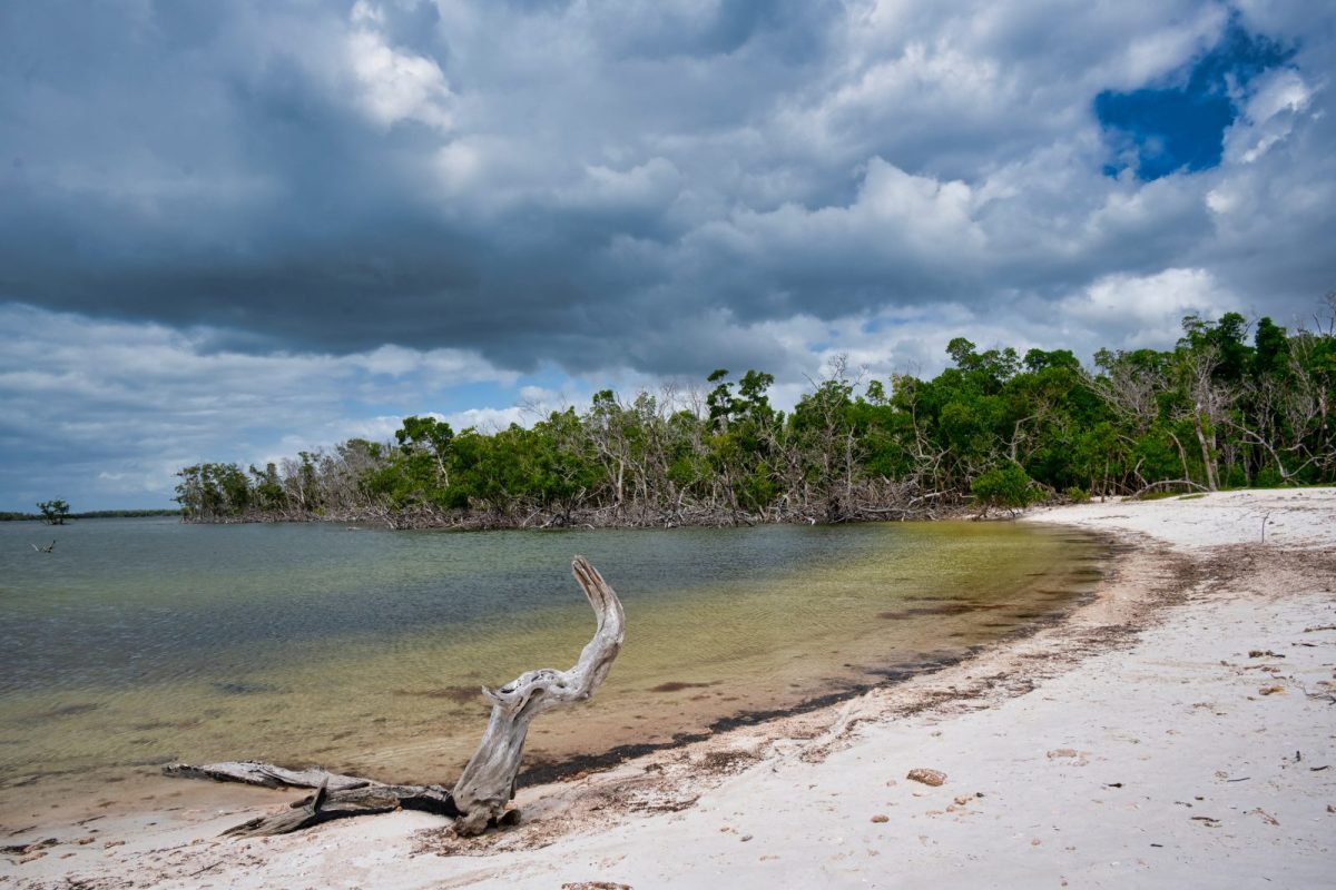 The Small Town Near Everglades National Park Is Perfect for a Quiet Weekend