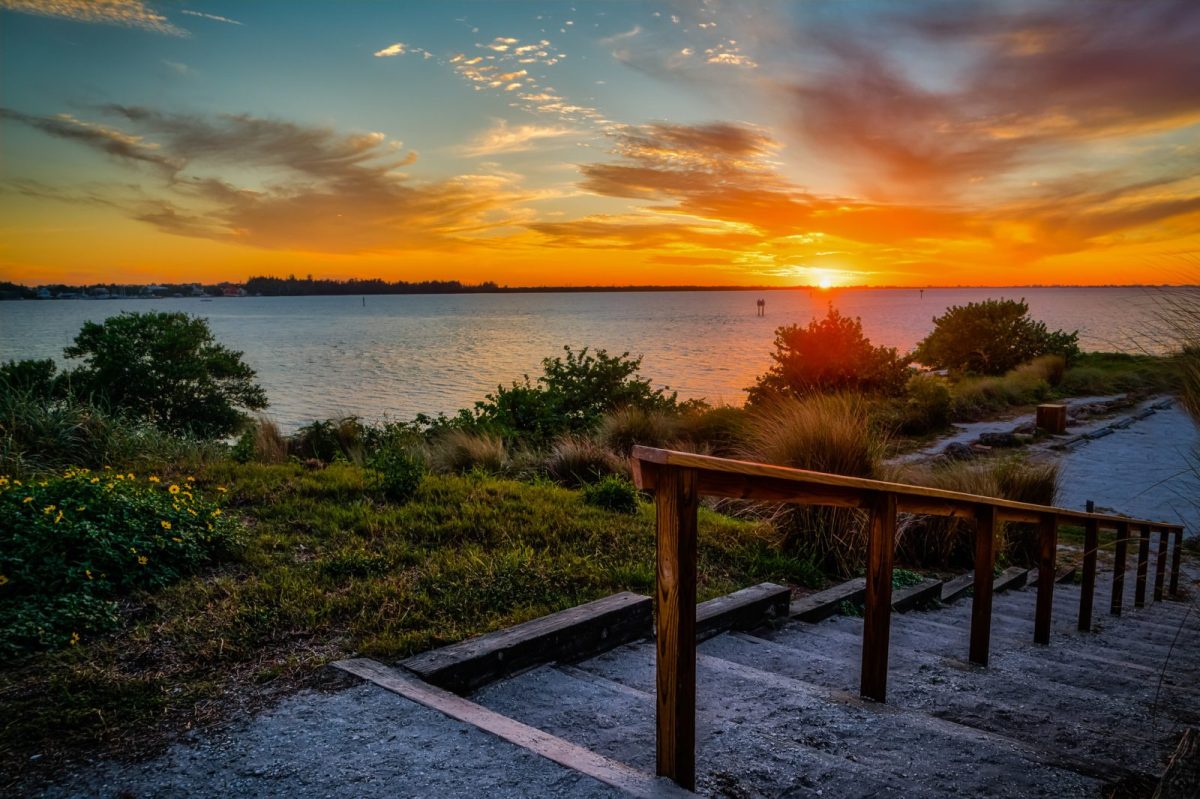 Between Bradenton and Anna Maria Island Is an Underrated Preserve