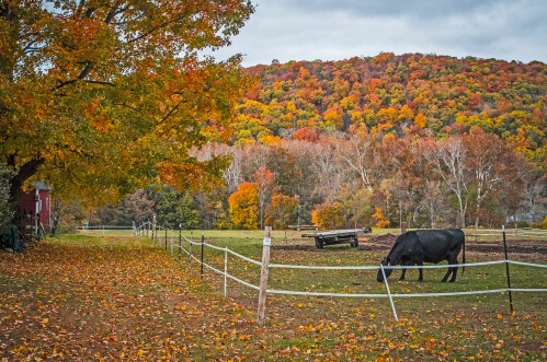 Kent, Connecticut: New England's Best Fall Foliage Town