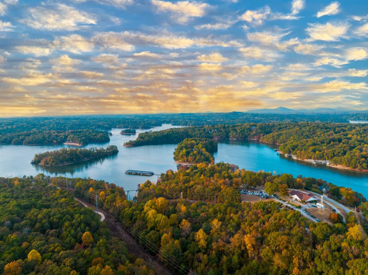 Is It Safe to Swim in Lake Lanier? What Georgia Locals Actually Say