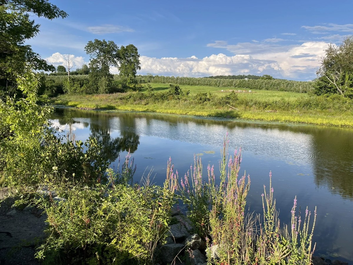 Explore Century-Old Railroad History On This 11-Mile Paved Trail In Massachusetts