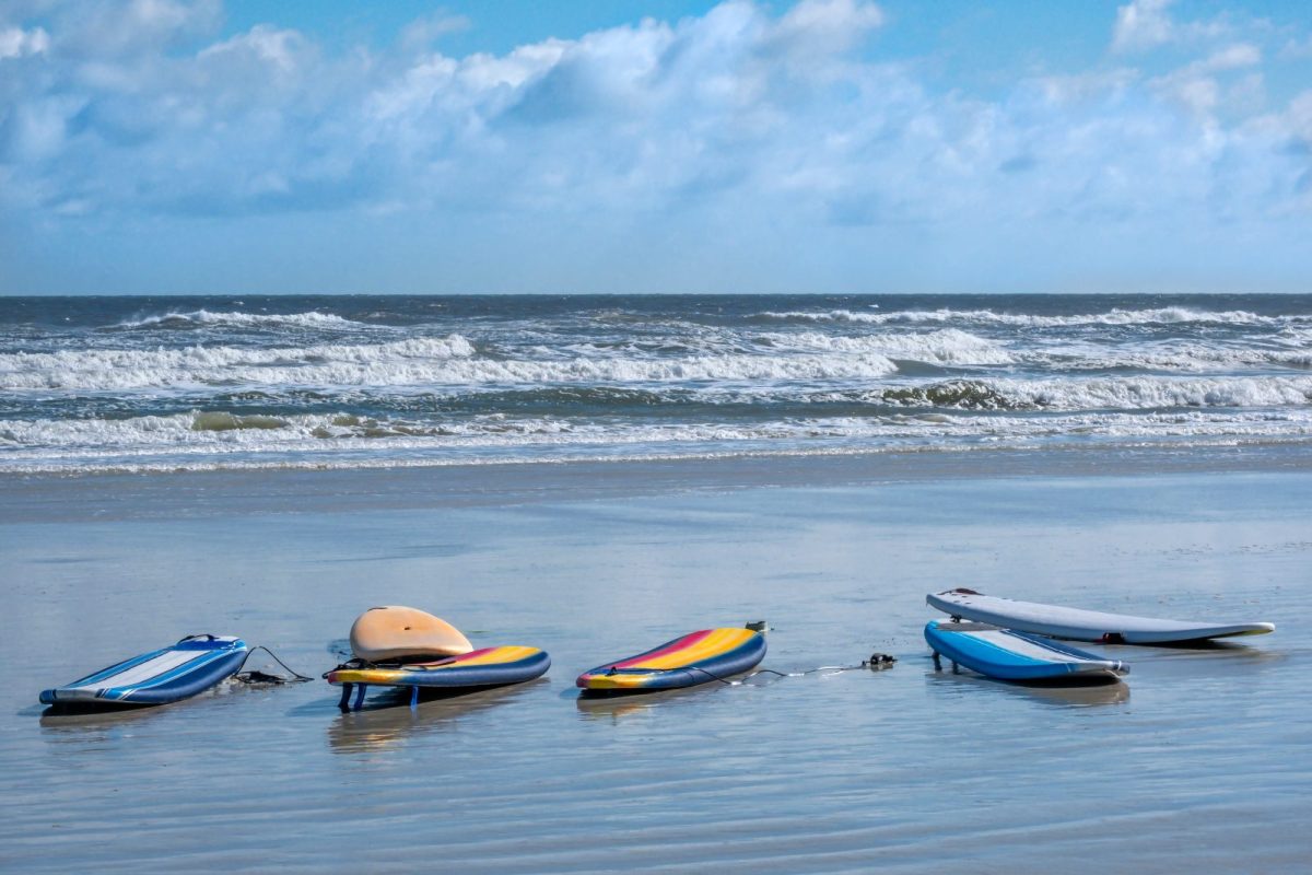 Is It Safe to Swim at New Smyrna Beach? What Florida Locals Actually Say