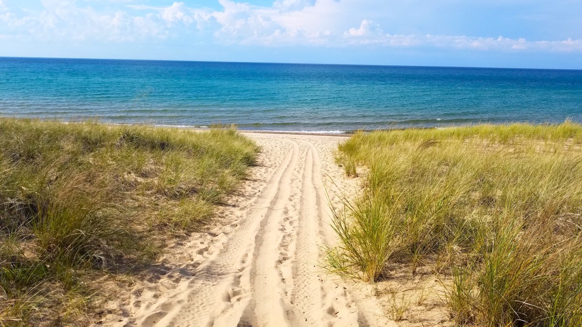 You Don't Need the Coast: 12 Inland Beaches With Real Sand and Blue Water
