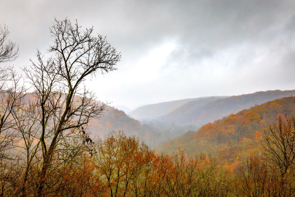 Locals Save This Minnesota State Park for One Week Every October