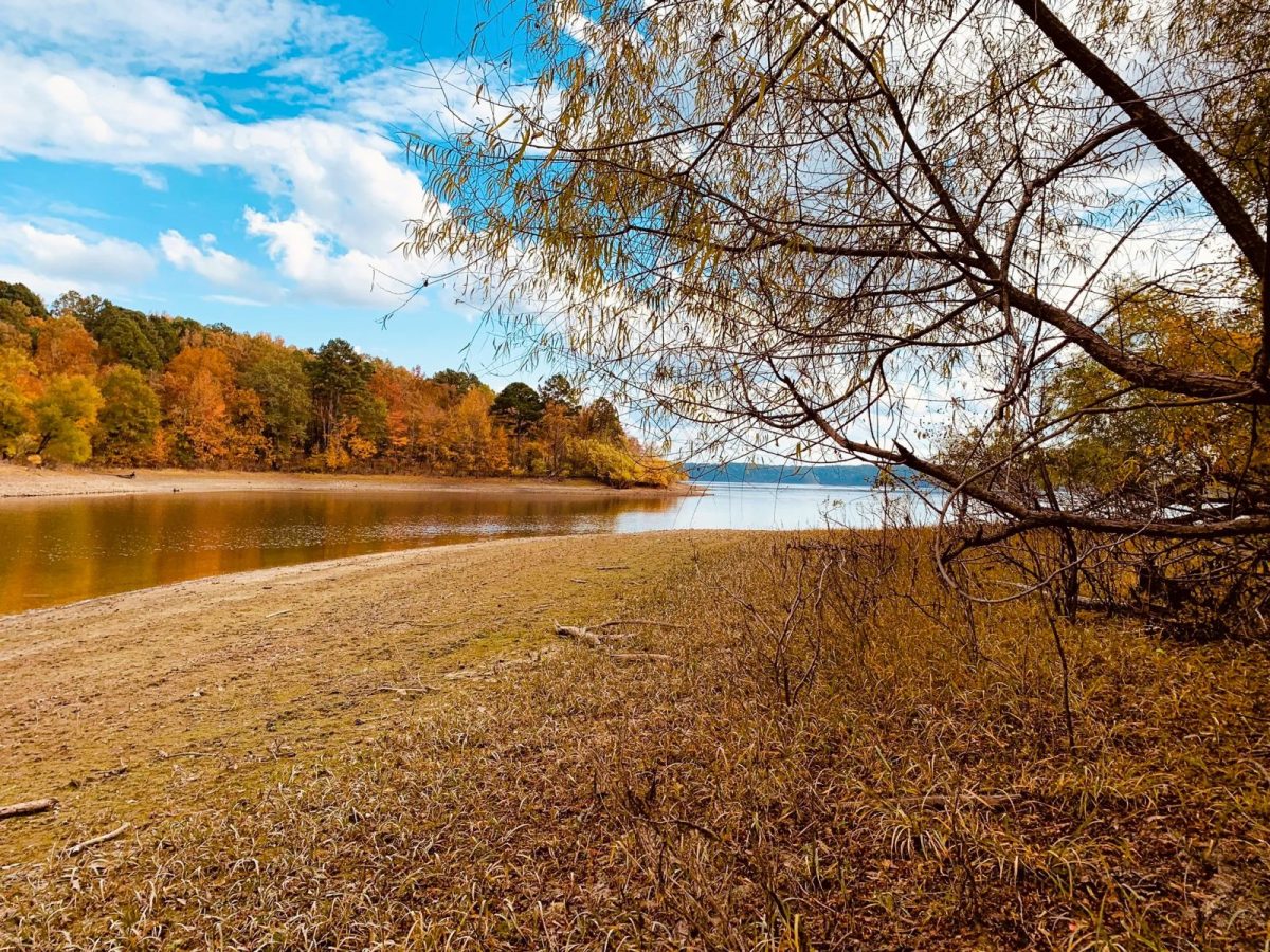 DeGray Lake State Park Is Arkansas’s Best-Kept Secret for Peak Fall Color