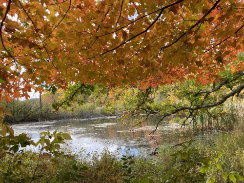 Ice Age Trail: Wisconsin's Best Fall Hike Is in West Bend