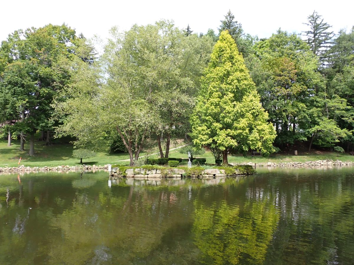 Ohio's Cheapest National Park Base Gave the State Its Flower