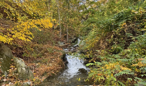5 Crowded Virginia Fall Spots to Skip (and 5 to Visit)