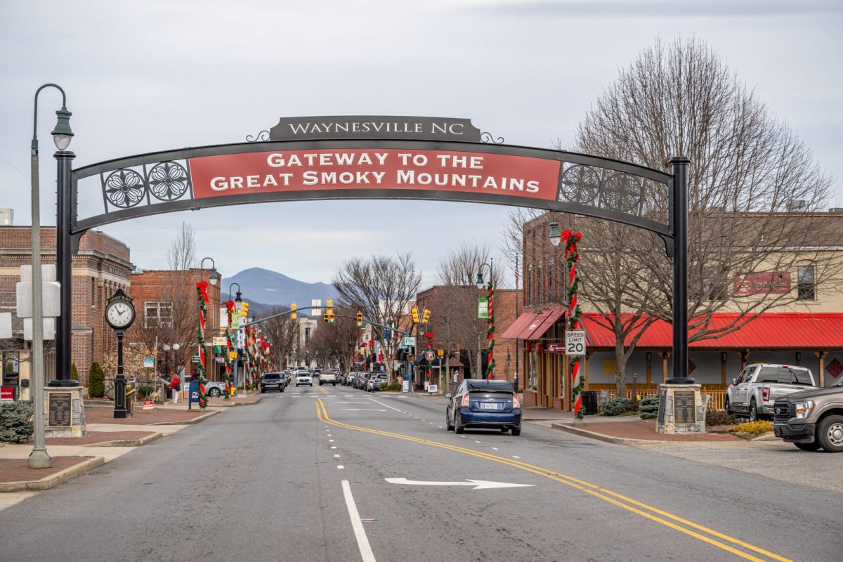 The Most Affordable Smokies Base in North Carolina Is Elk Country