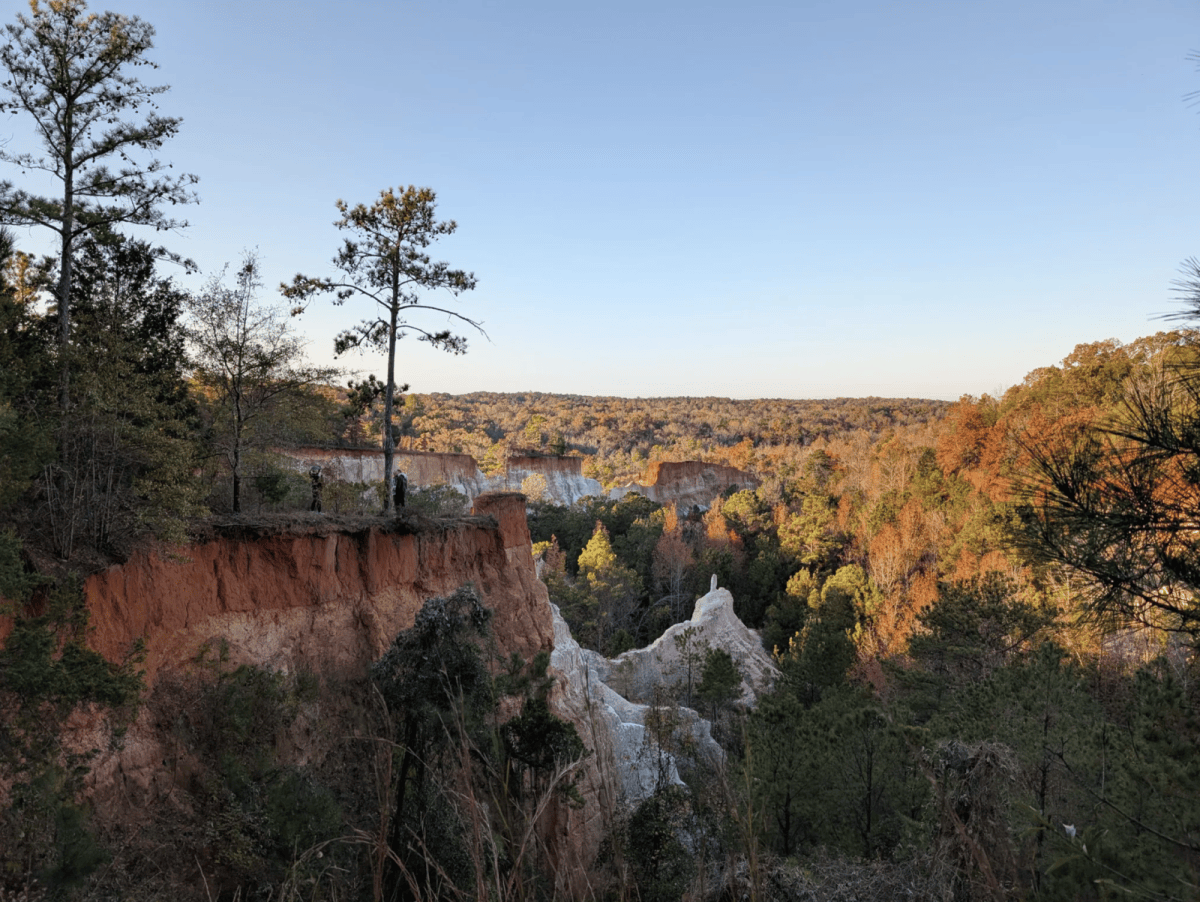 3 Crowded Georgia Fall Spots To Skip (And Where To Go Instead)