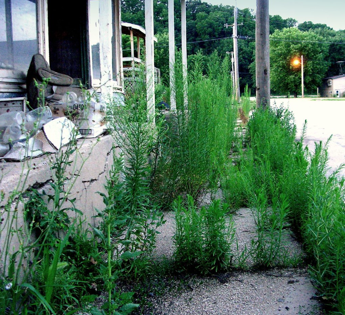 Most People Drive Right Past This Abandoned Iowa Town